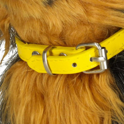 Interaktívny pes reaguje na dotykový pohyb chodí šteká York