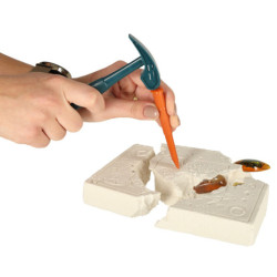 Vedecká súprava pre deti hmyz na jantár