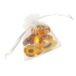 Vedecká súprava pre deti hmyz na jantár