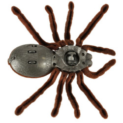 Diaľkovo ovládaný pavúk TARANTULA + PILOT