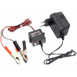 Udržiavacia nabíjačka autobatérii (5-125Ah)