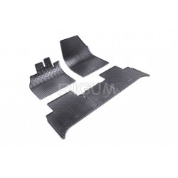 Gumené rohože na mieru pre RENAULT Scenic 5dverové tunel (od 2009)